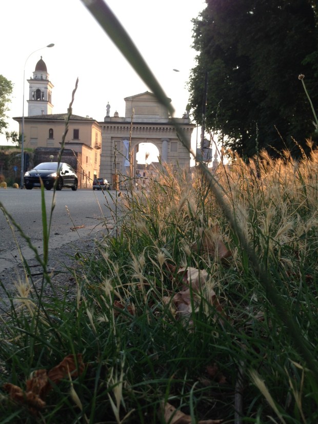 Foto di Emanuele Mandelli